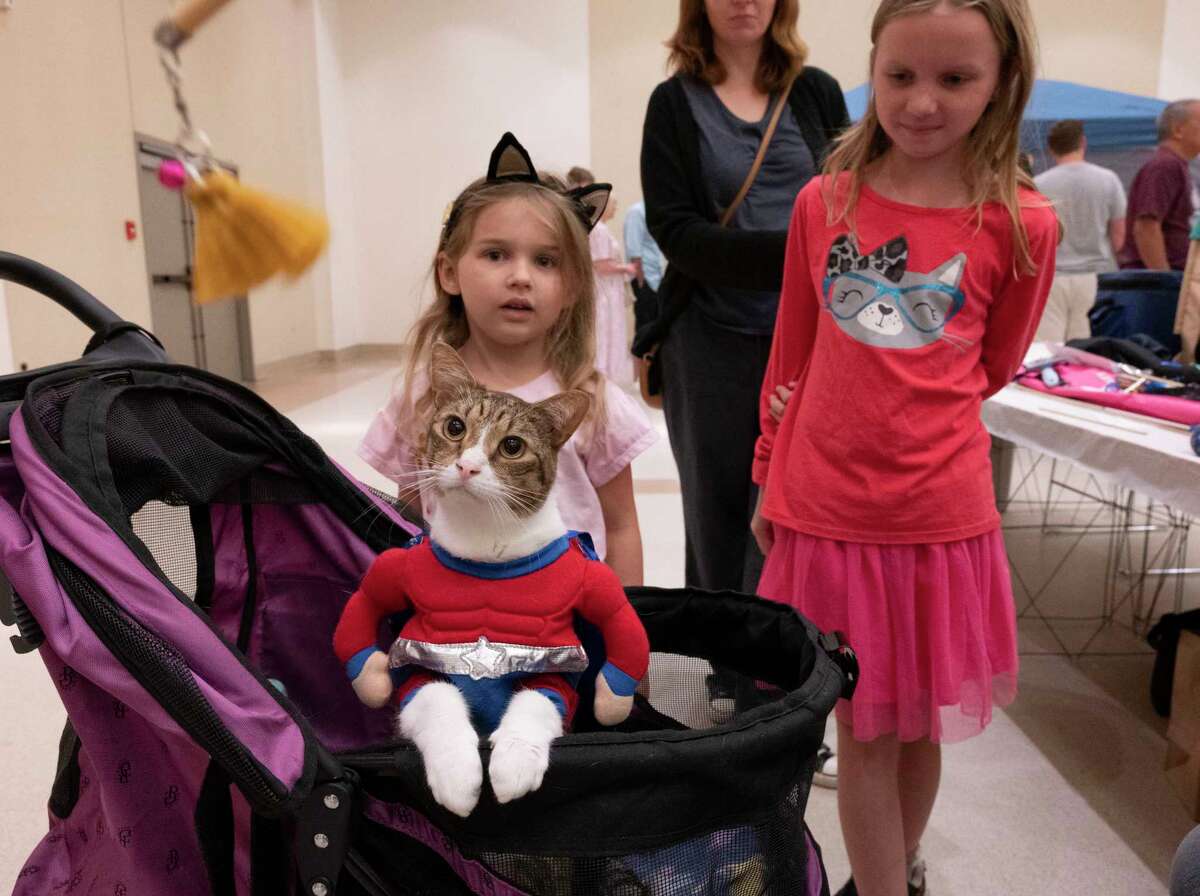 Marlena Clowe, 5, of Schenectady, left, and Jean Marie Schwarz, 9 of Niskayuna watch household rescue cat Chip, who is dressed as Captain America, play with a toy while sitting in a stroller during the Saratoga Springs Cat Show at the Saratoga City Center in Saratoga Springs, N.Y. on Sunday, Aug. 6, 2023. (Lori Van Buren/Times Union)