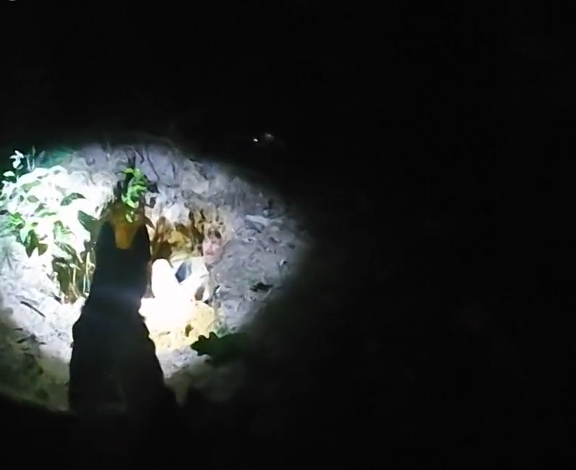 Michigan K9 team finds man hiding in hole after home invasion, assault