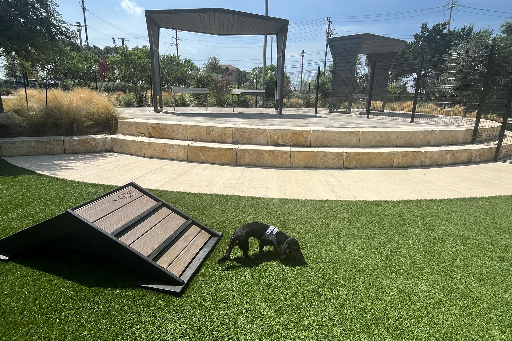 Coyote Park is open in San Antonio - SATXtoday