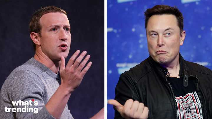 Elon Musk Says He May Need Surgery Before Proposed 'cage Match' With ...