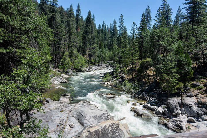 This Calif. Park Has Giant Sequoia Trees Without Yosemite's Lines