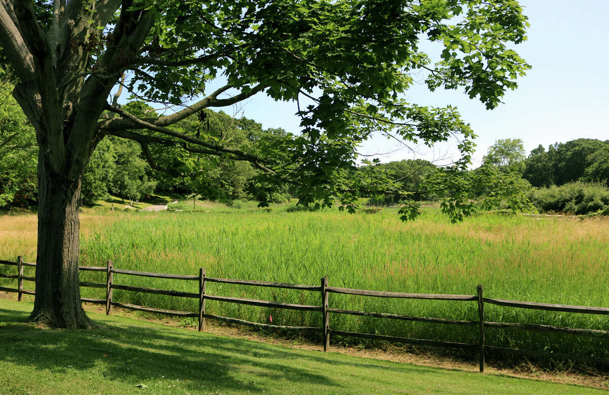 'Yellowstone' in CT? Lots continue to land buyers postCOVID