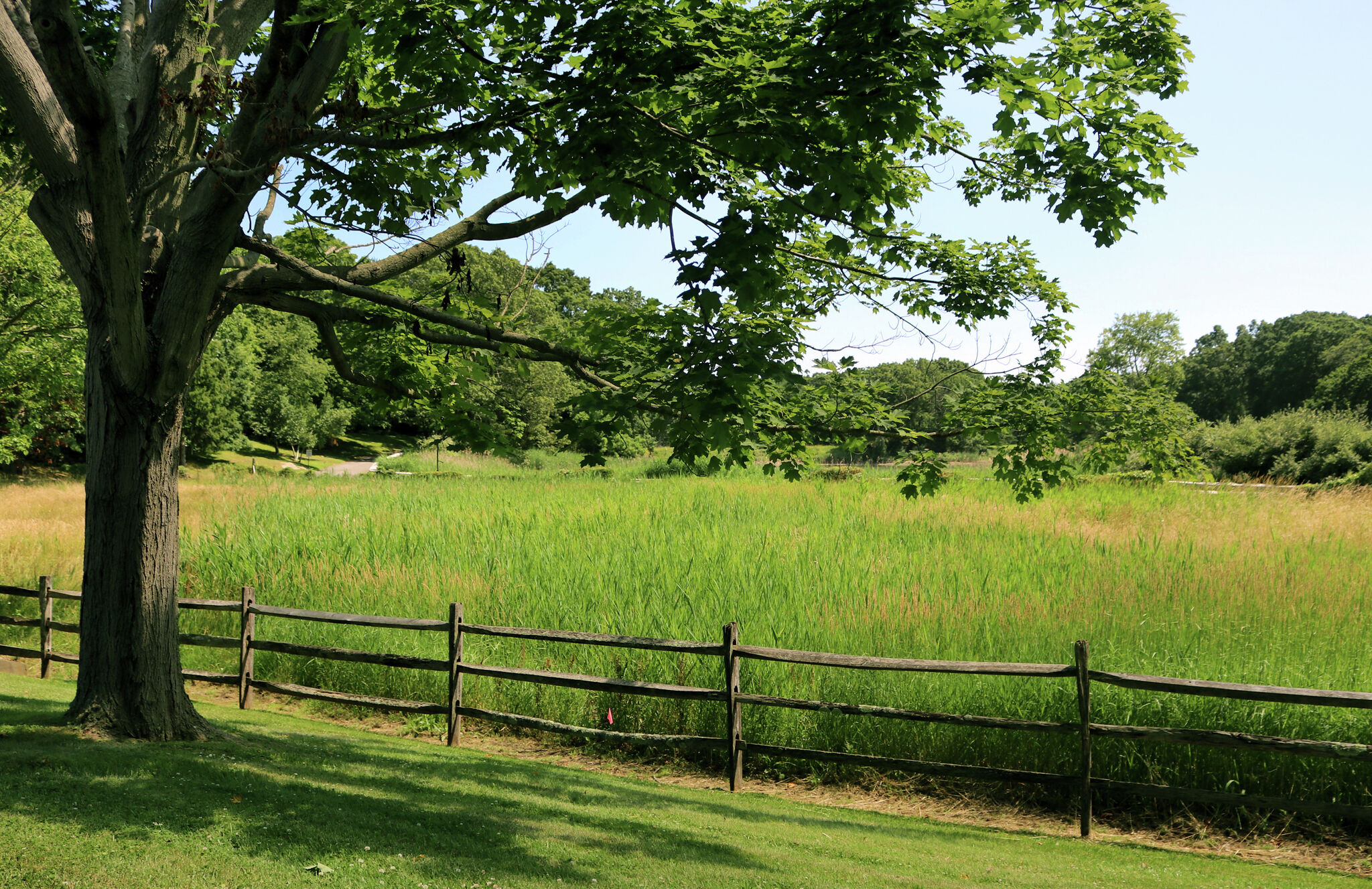 'Yellowstone' in CT? Lots continue to land buyers post-COVID