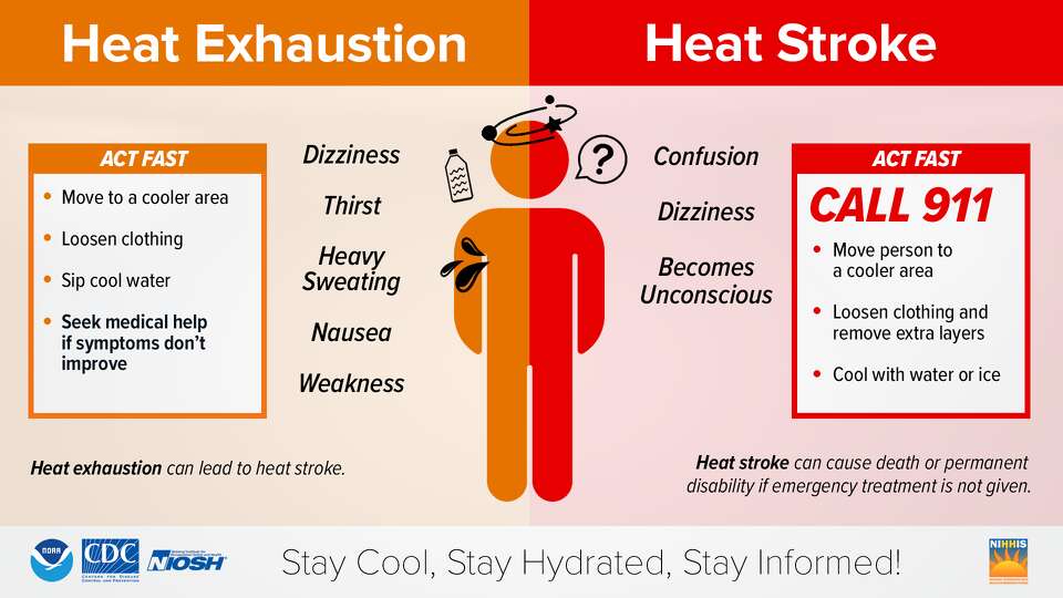 This infographic shows the different symptoms for heat exhaustion and heat stroke.