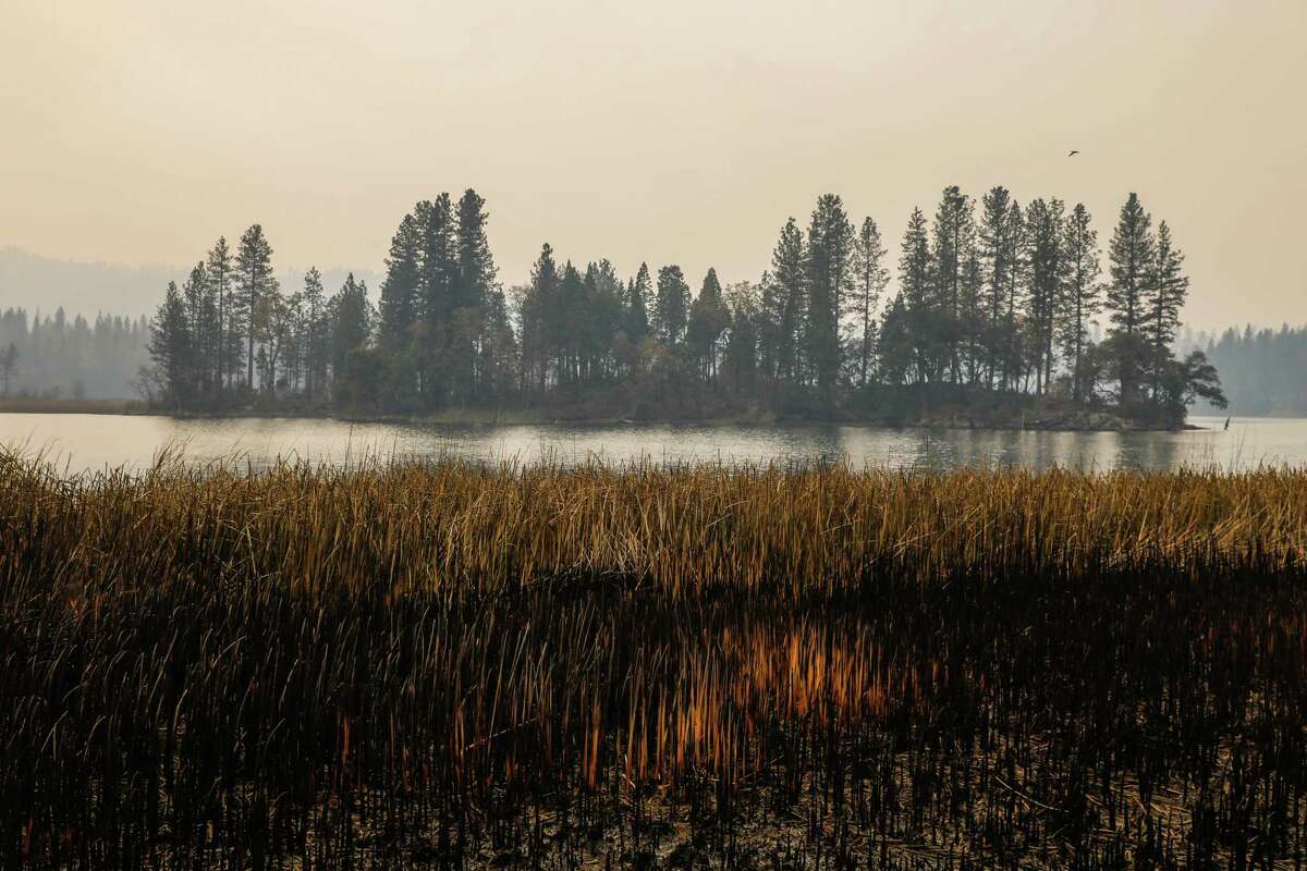 Maui fire Does fleeing into the water keep you safe in a major blaze?