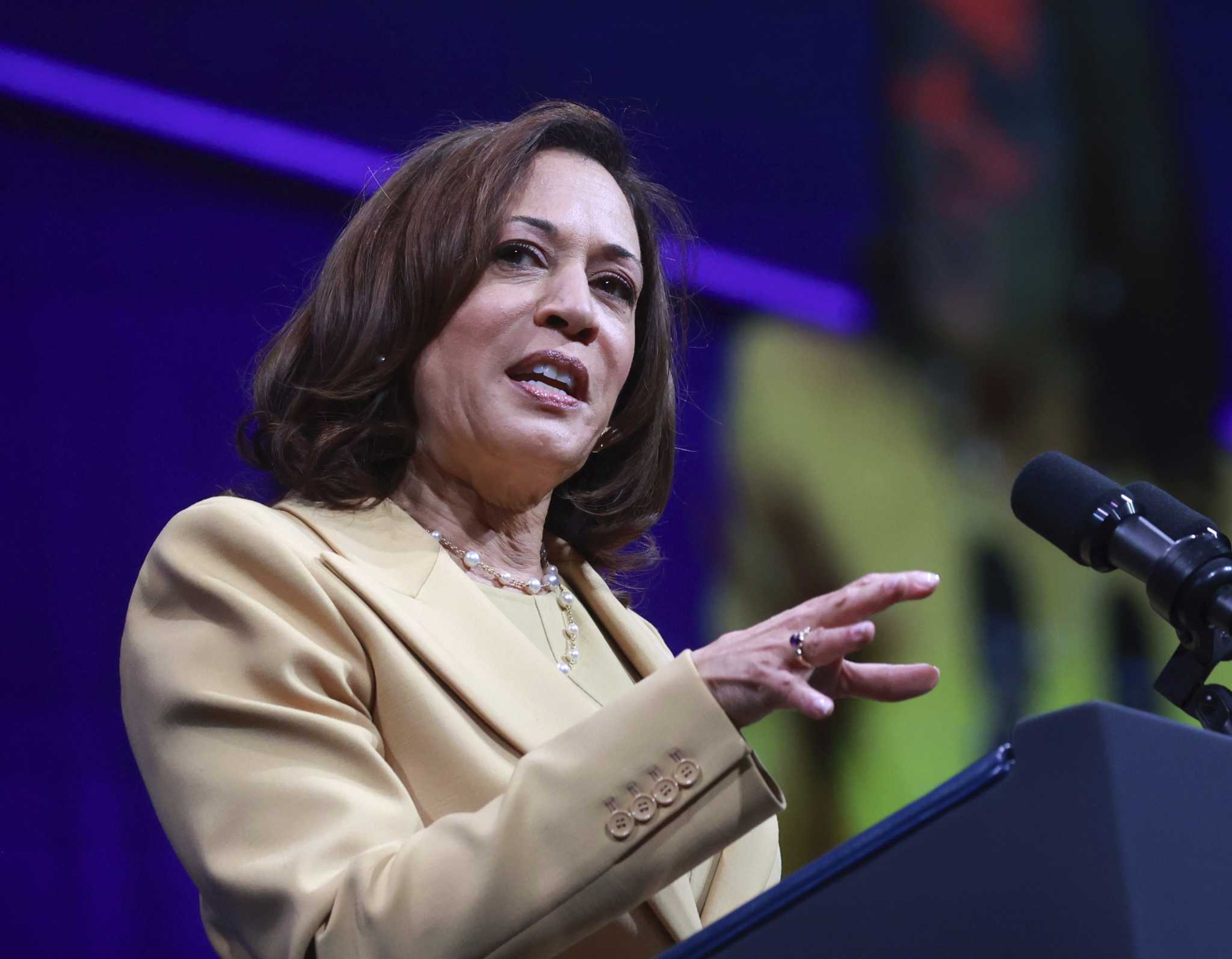 Why both sides have made Kamala Harris the focus of the 2024 campaign