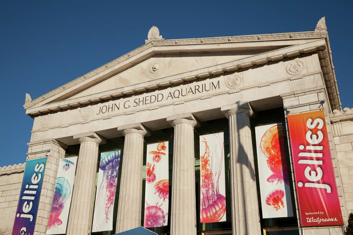 Illinois residents get free admission to Chicago's Shedd Aquarium