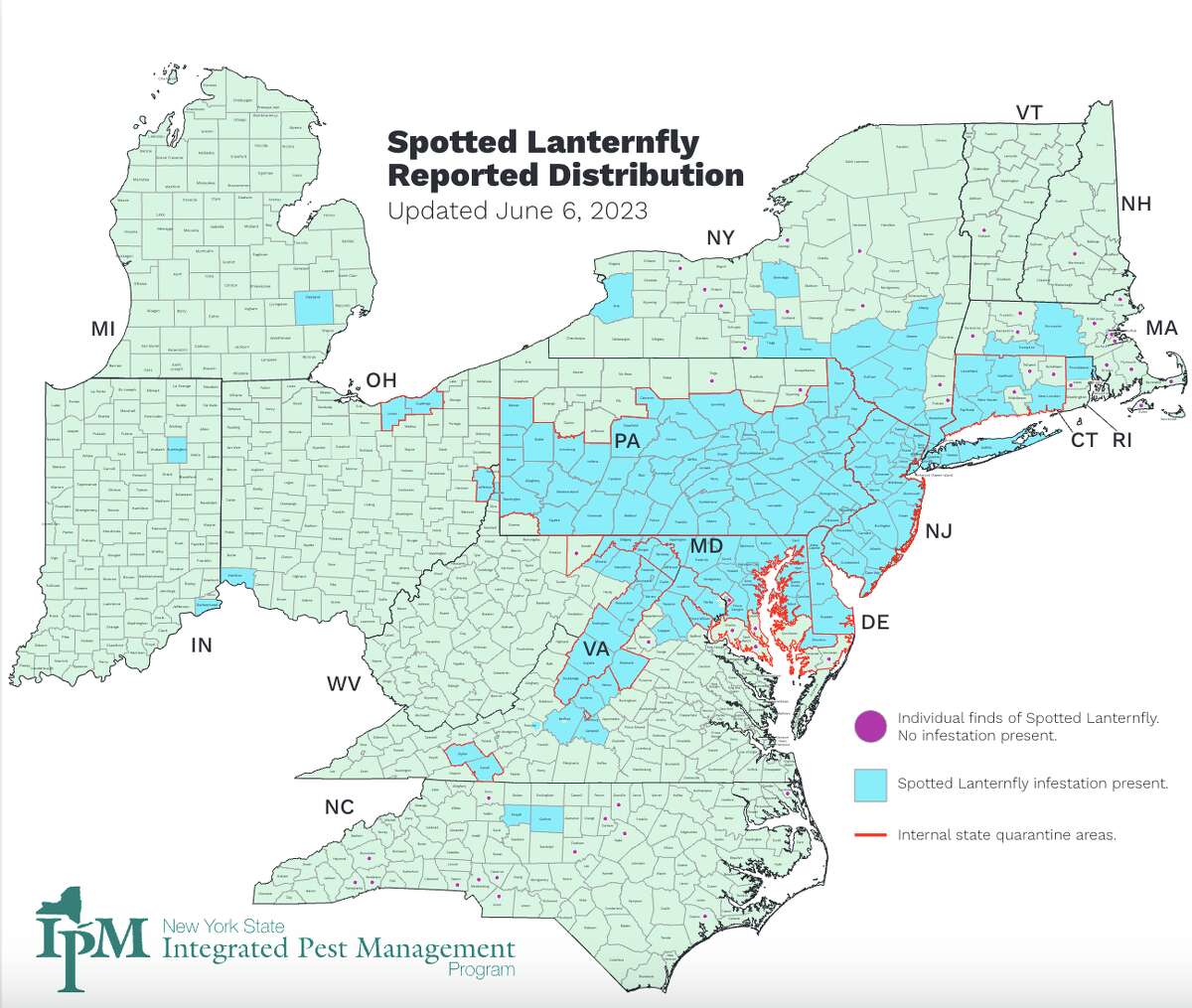 Spotted lanternflies flying around CT as they reach adult stage