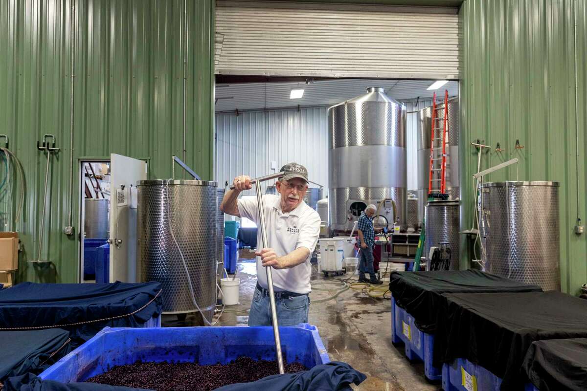 Dr. Bob Young, co-owner and winemaker at the Bending Branch Winery in Comfort, punches a tub of fermenting grapes. The grapes are punched down twice a day to help break up this cap of skins and solids that forms over fermenting red wine.