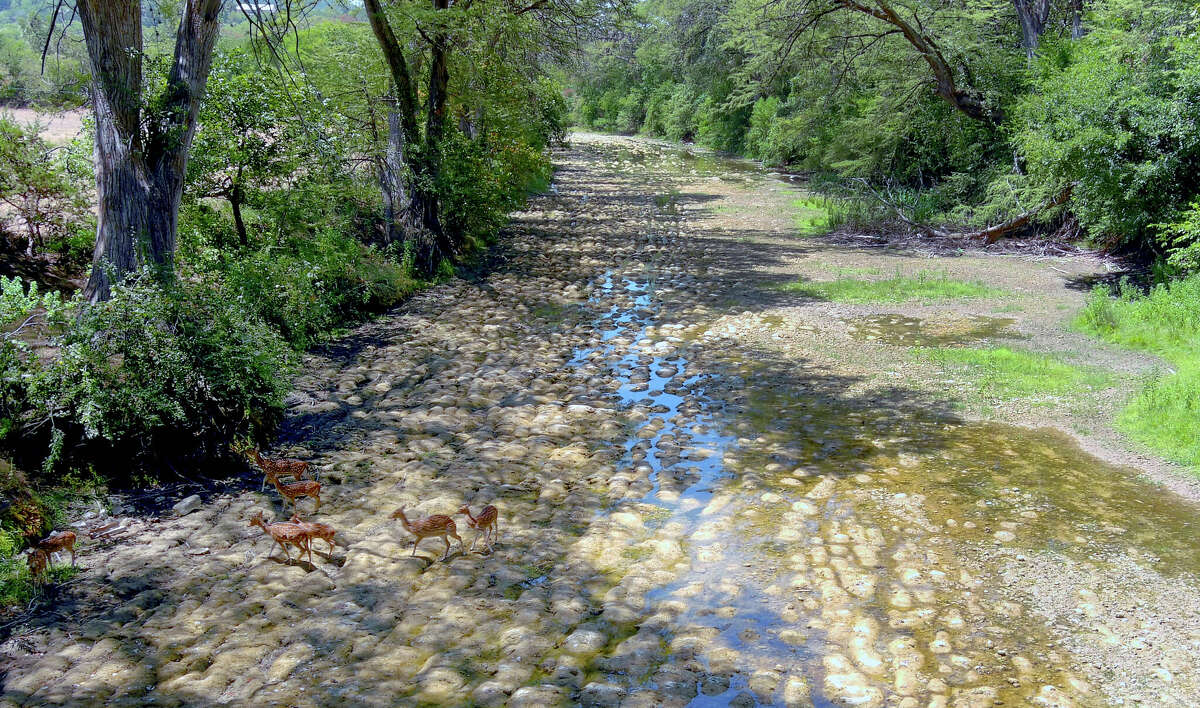 Hill Country lakes, streams are struggling as drought drags on