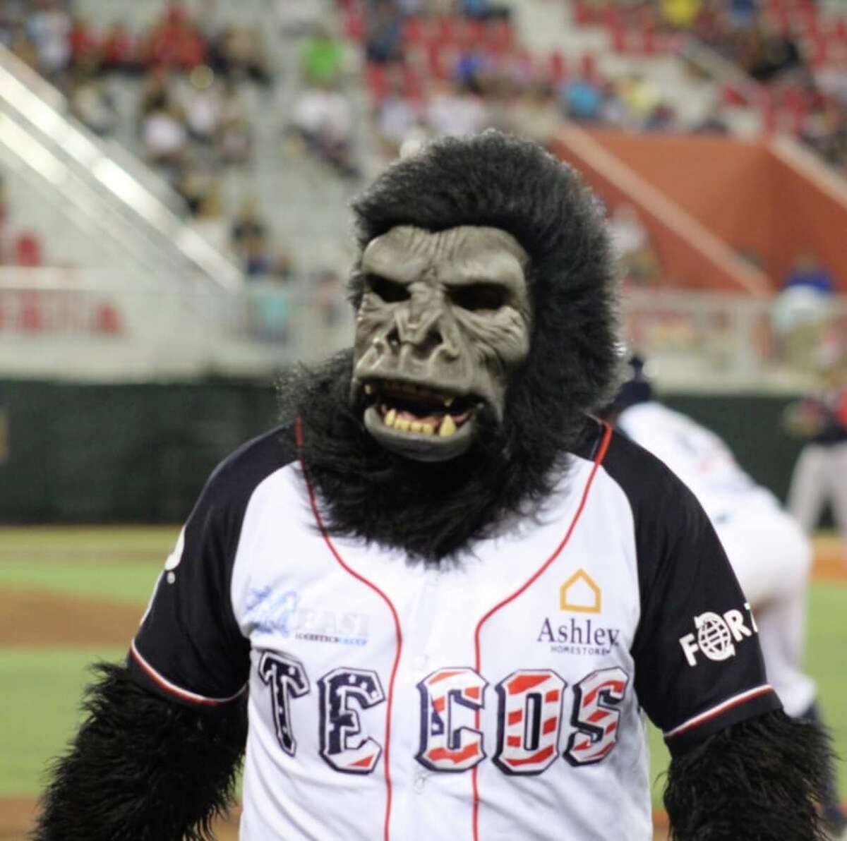 Tecolotes mascot Monkey discusses career in Mexico, mischievousness