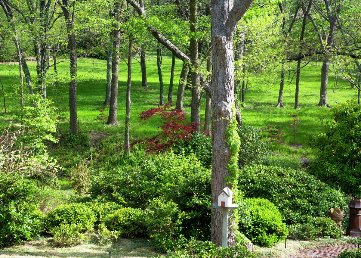 How to keep grass alive amid hot weather, water restrictions