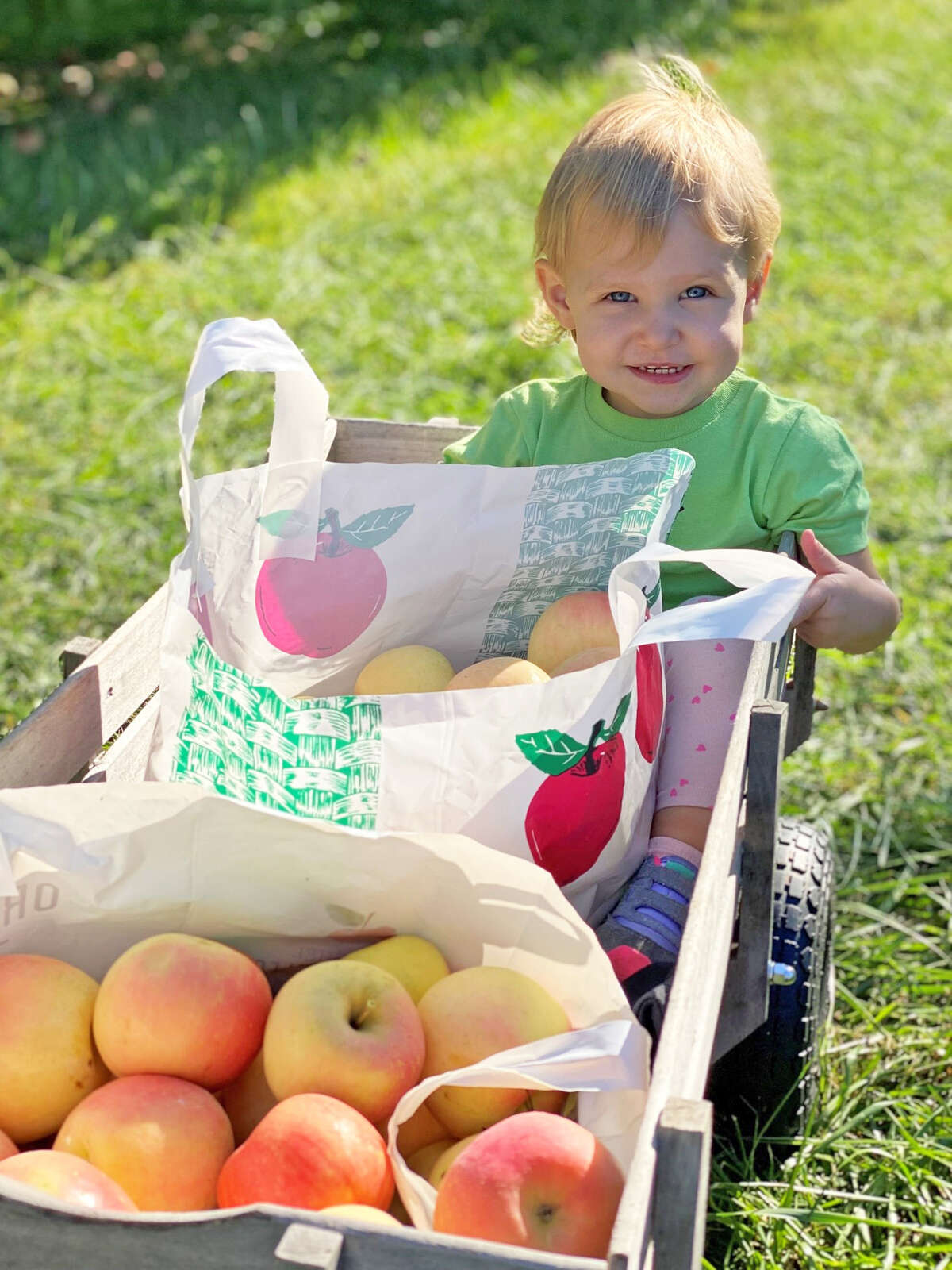 Apples - Jacob's Family Orchard