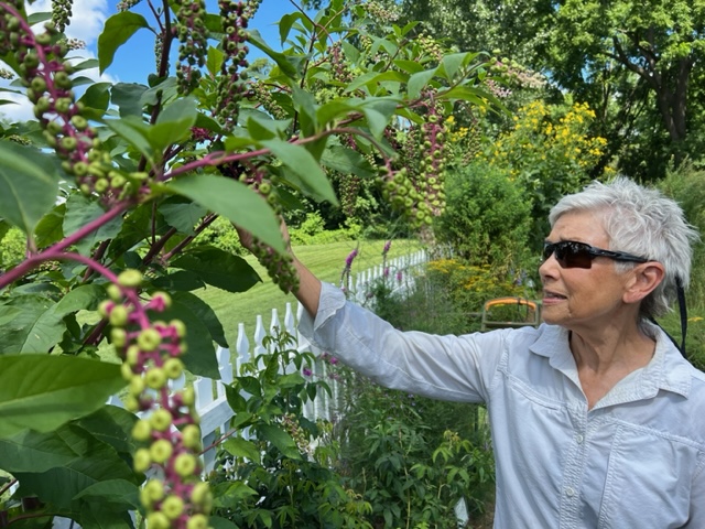 The Commitment of Rebecca Langer to Her Shaker Herb Garden