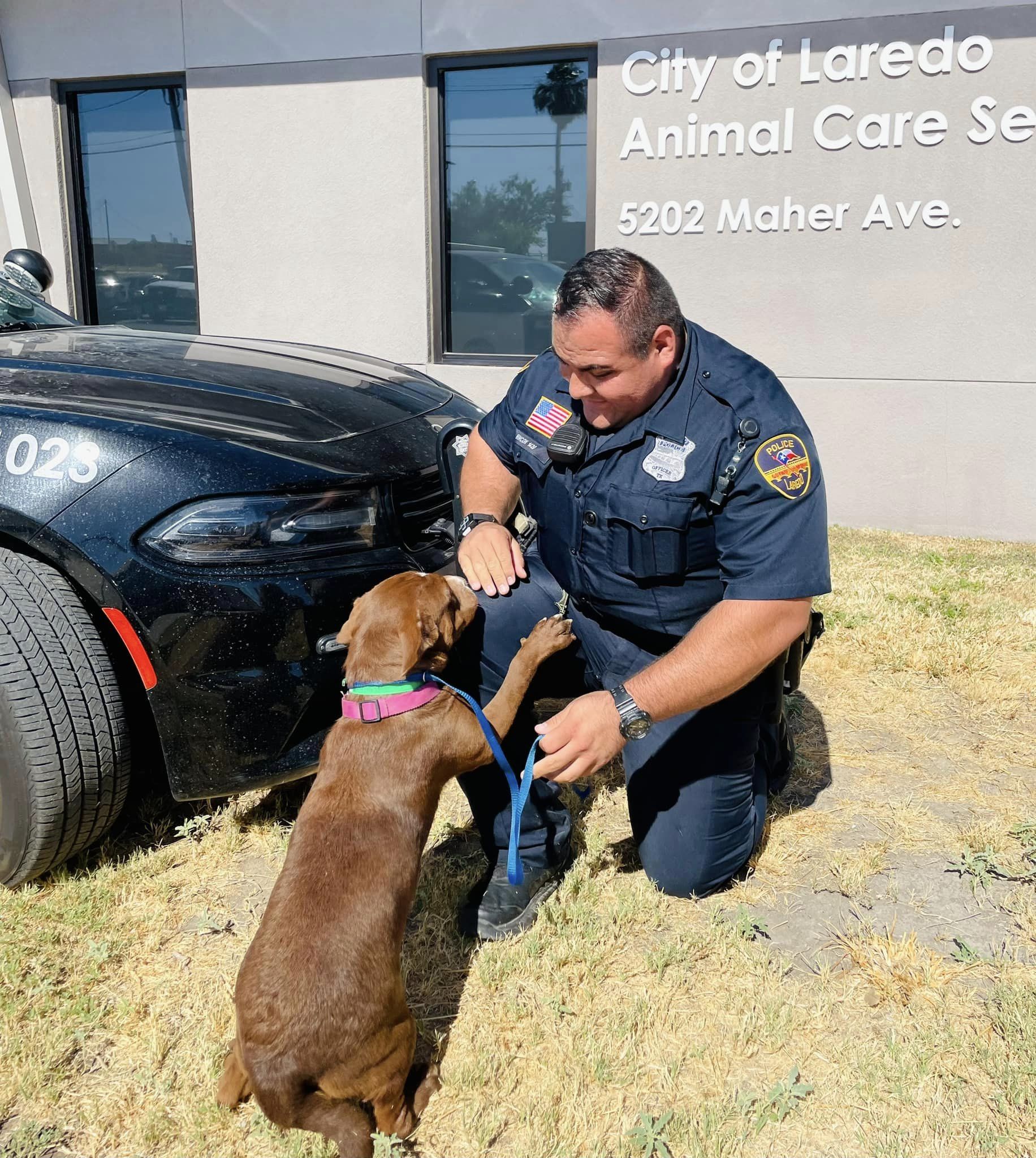 Laredo police present Pets of the Week available for adoption