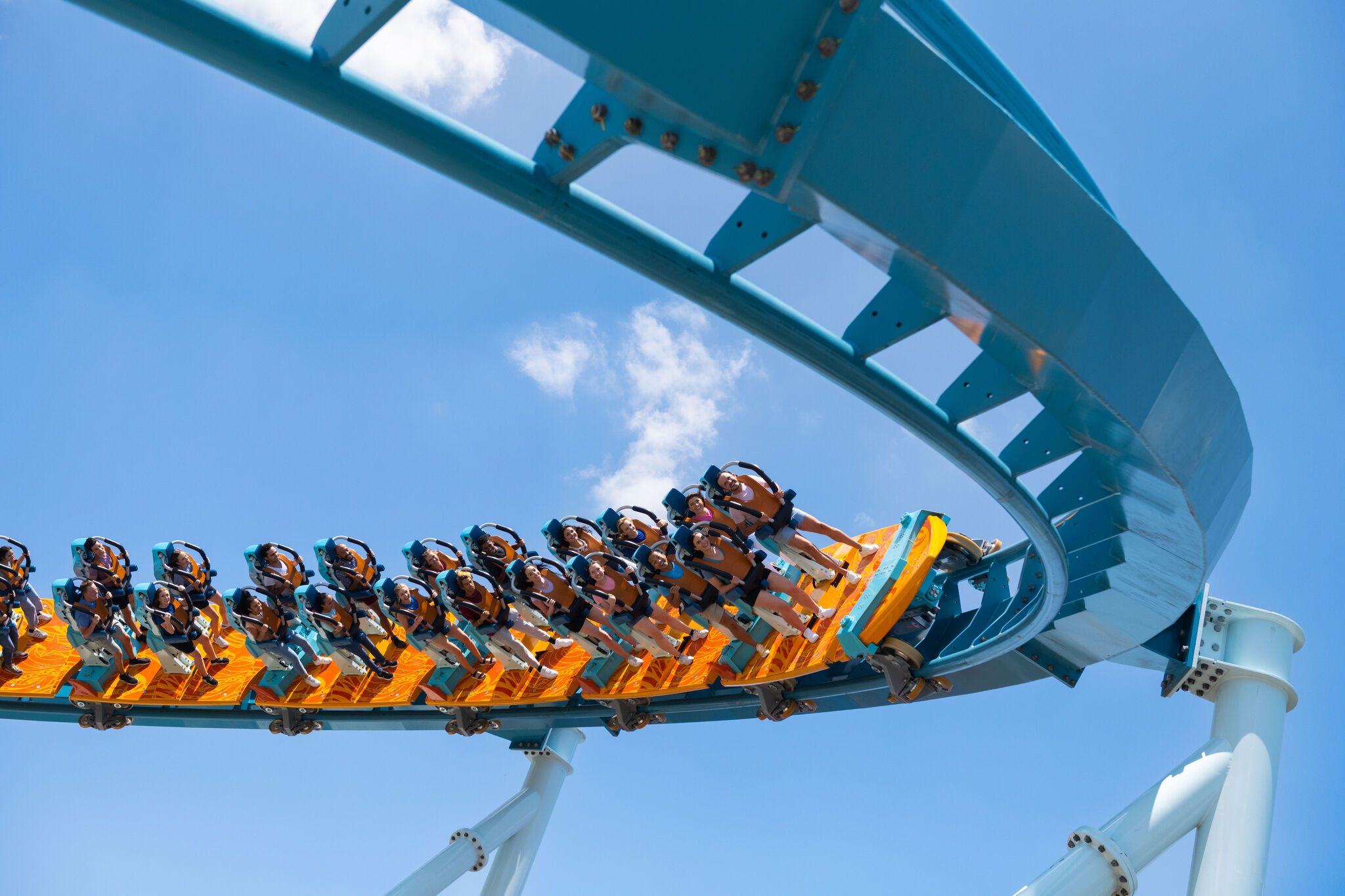 Thrills or Chills? Roller Coaster Safety a Mystery, roller coaster