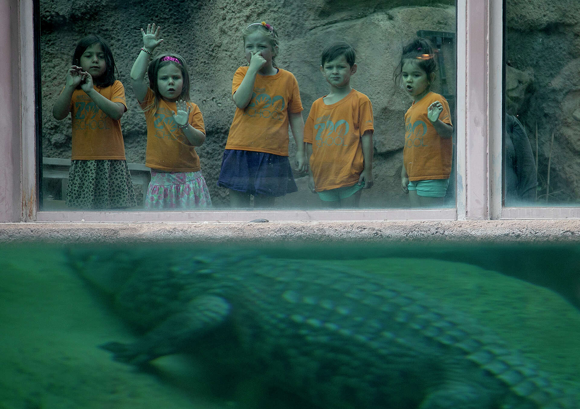 Hope Roth S.A. Zoo faces $55,000 fine for pumping too much water from aquifer
