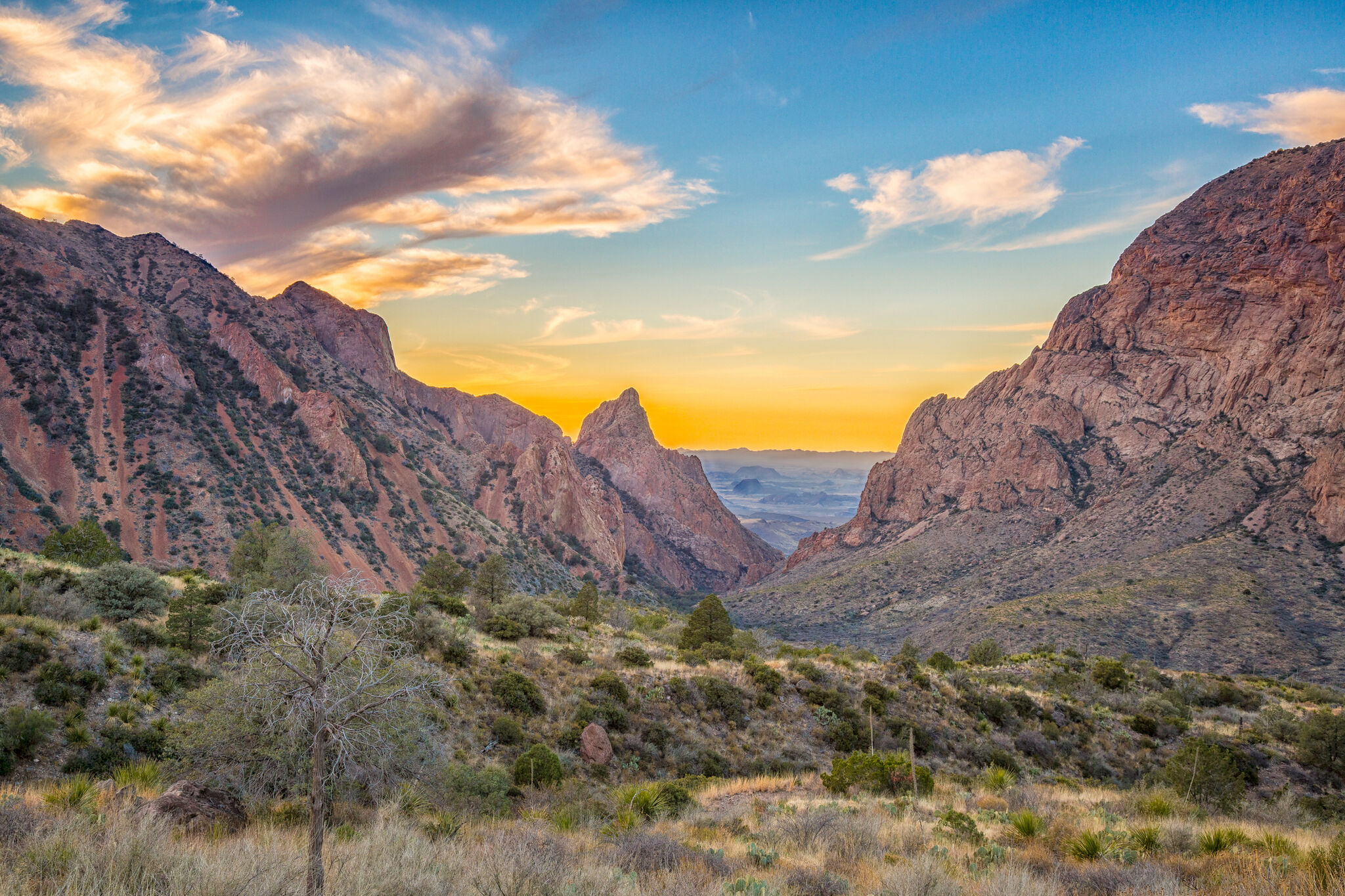 Big Bend National Park: A guide to this natural paradise