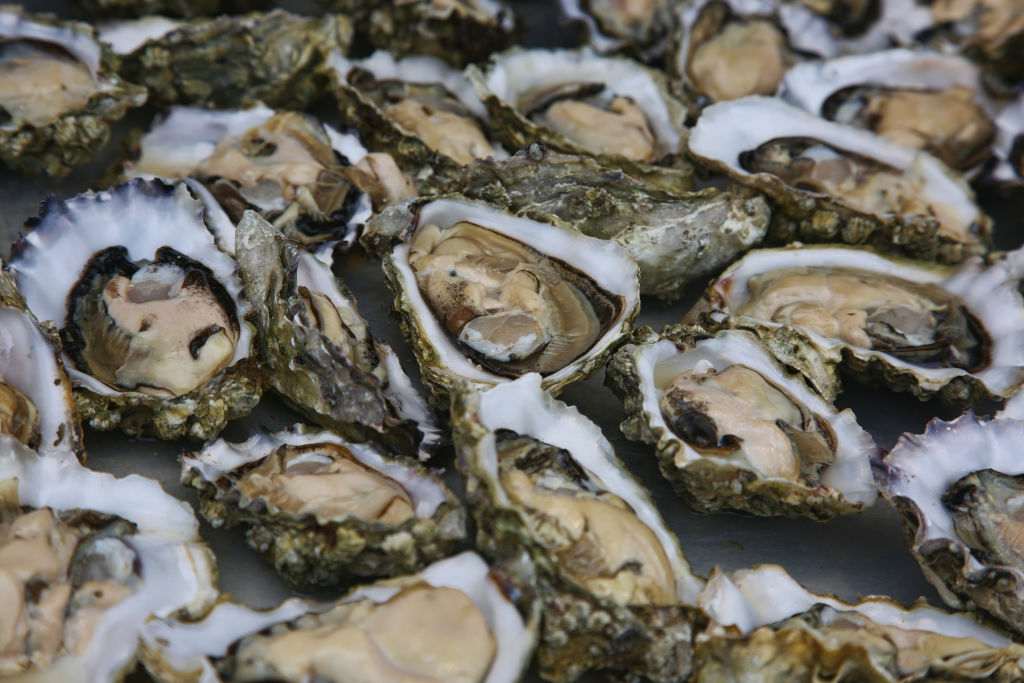 Sewage contamination leads to recall of CT oysters in five states