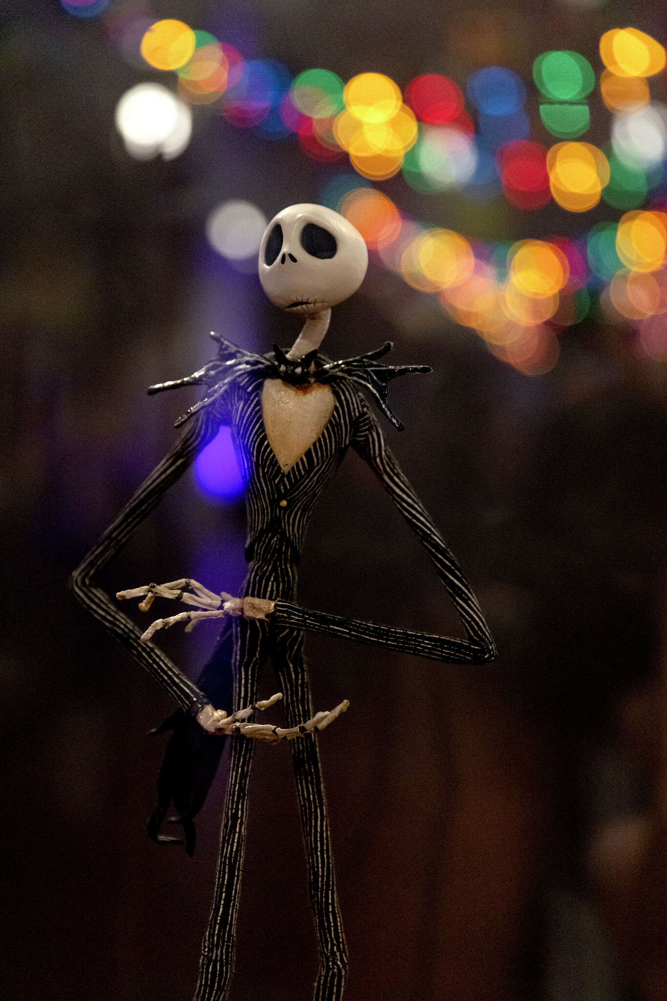 Jack Skeletron The nightmare before Christmas Photograph by Donatella  Muggianu - Pixels