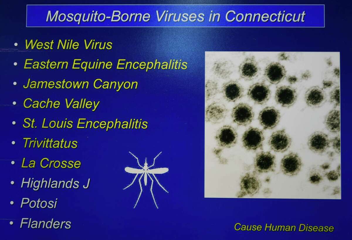 Inside the CT lab that tests mosquitoes for potentially deadly viruses