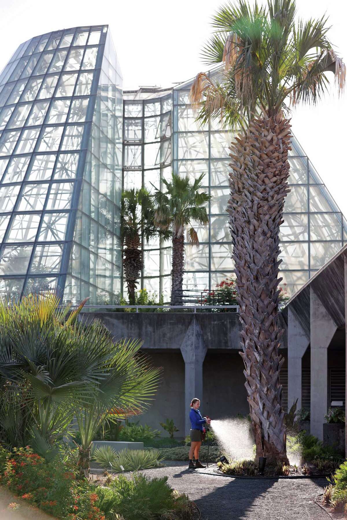 San Antonio Botanical Garden gears up for $8.3 million restoration
