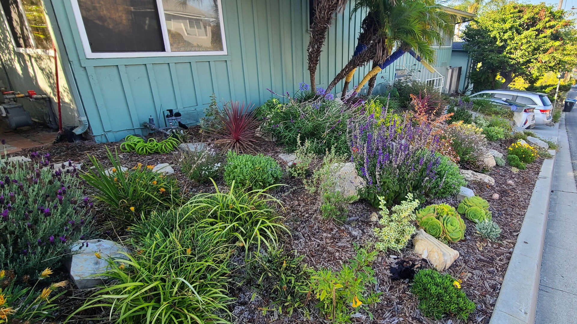 Pacific Green Landscape Maintenance