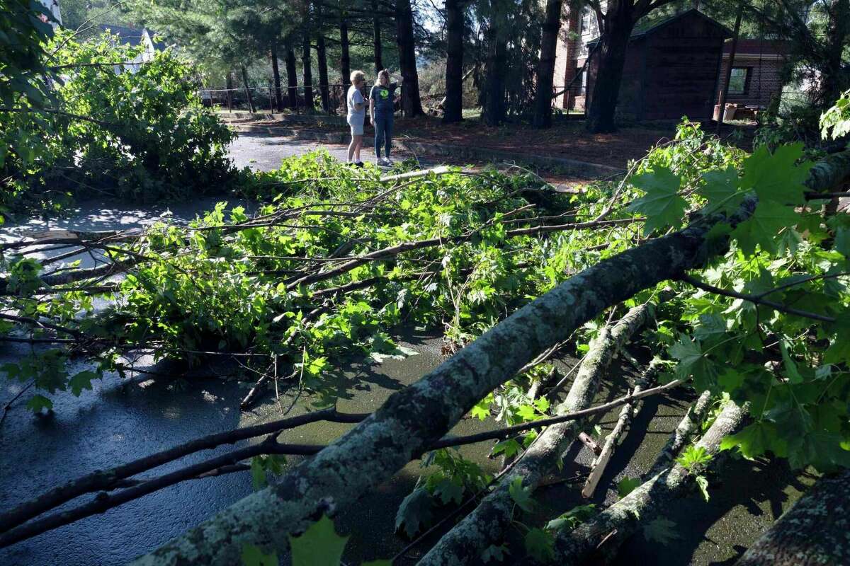 Tornado touched down in Scotland, CT, Friday, NWS says image