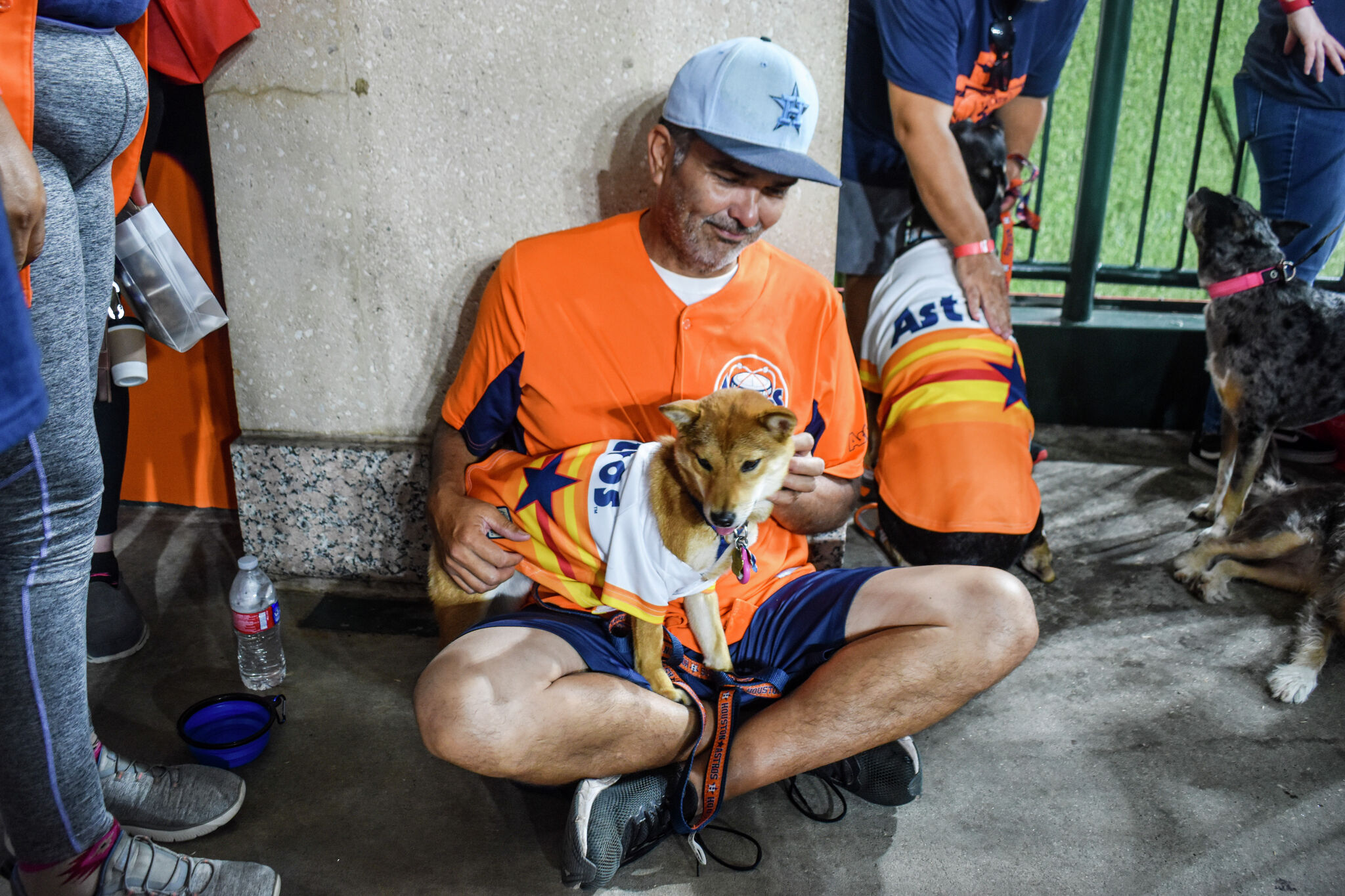 Astros Dog Day 2023 🐾⚾️❤️ #shorts #astros #astrosdogday #dogday #baseball  #goldendoodle #weekend 