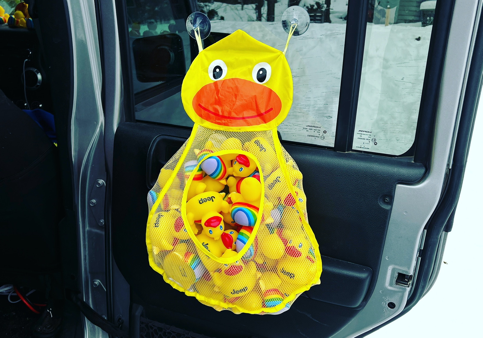 Jeep ducks: The story behind the wholesome viral trend