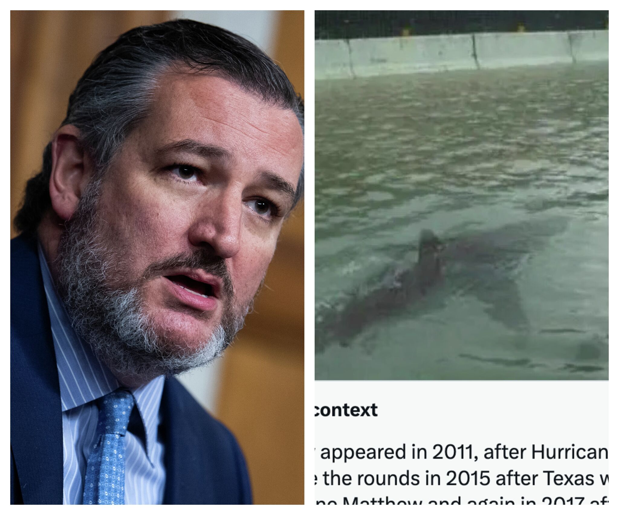 Holy crap Ted Cruz shares shark swimming in floodwater hoax