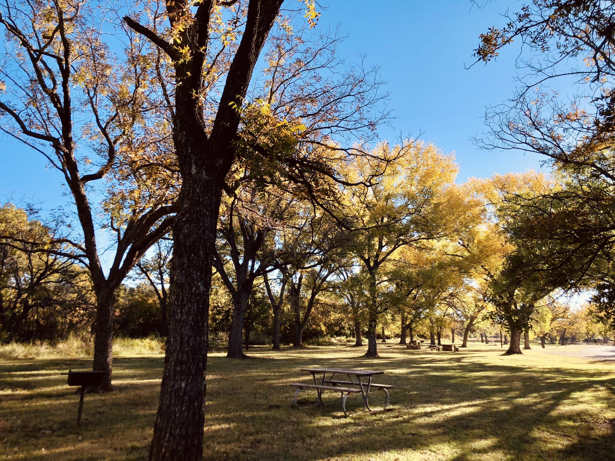 Abilene State Park is the most popular Texas state park