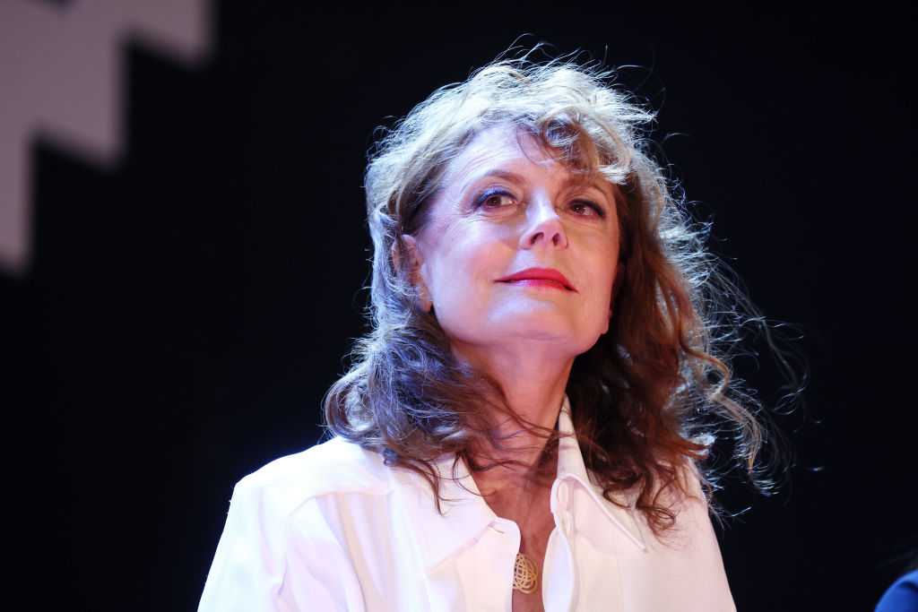 Susan Sarandon sues construction company over 'extensive problems' at
