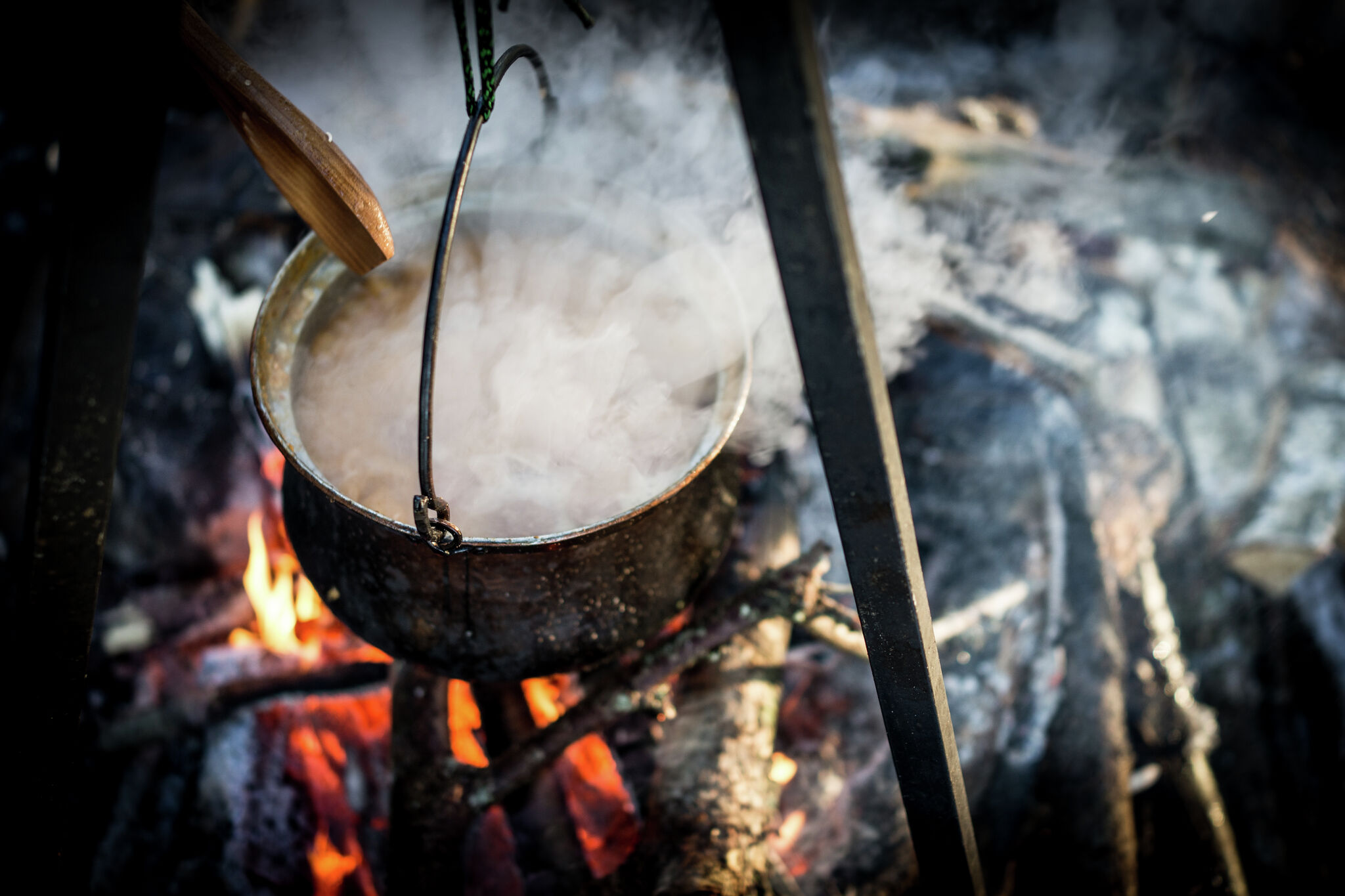 Chandlerville Burgoo features music, food