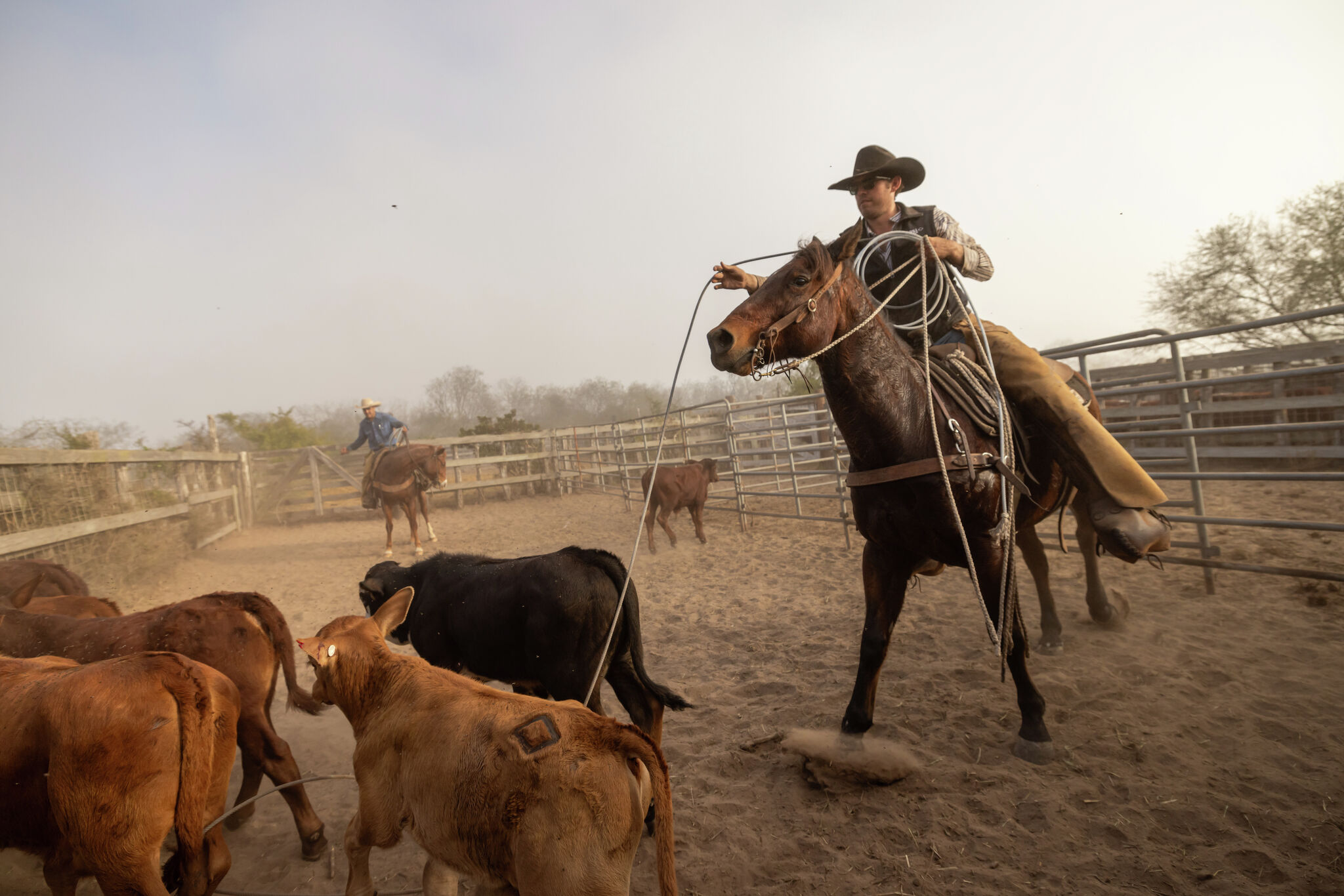 H-E-B enters the film world with a Texas nature docuseries