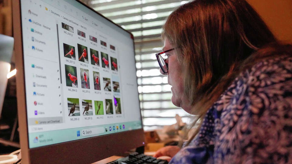 Children's author and nature photographer Chris Gorham goes through her nature photography in her home office on Wednesday, Aug. 9, 2023, in Conroe.