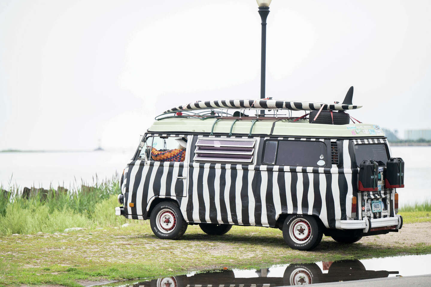 COLONISTA CONPE10 GOOUT別注 zebra柄+VANLIFE コラボのゼブラ柄をまとった限定カラーのCONPE10。コロニスタの