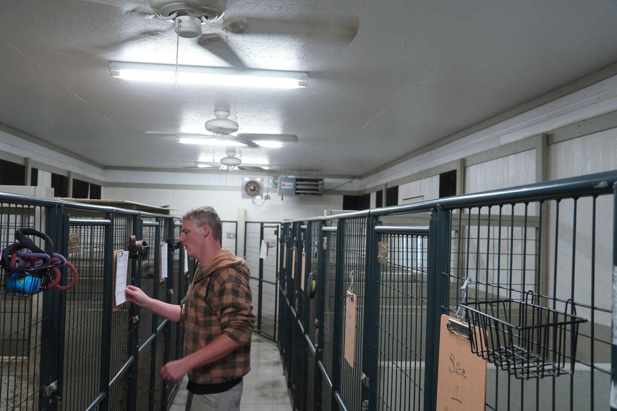 Backyard Boarding in Bad Axe offering kennel services with new owners