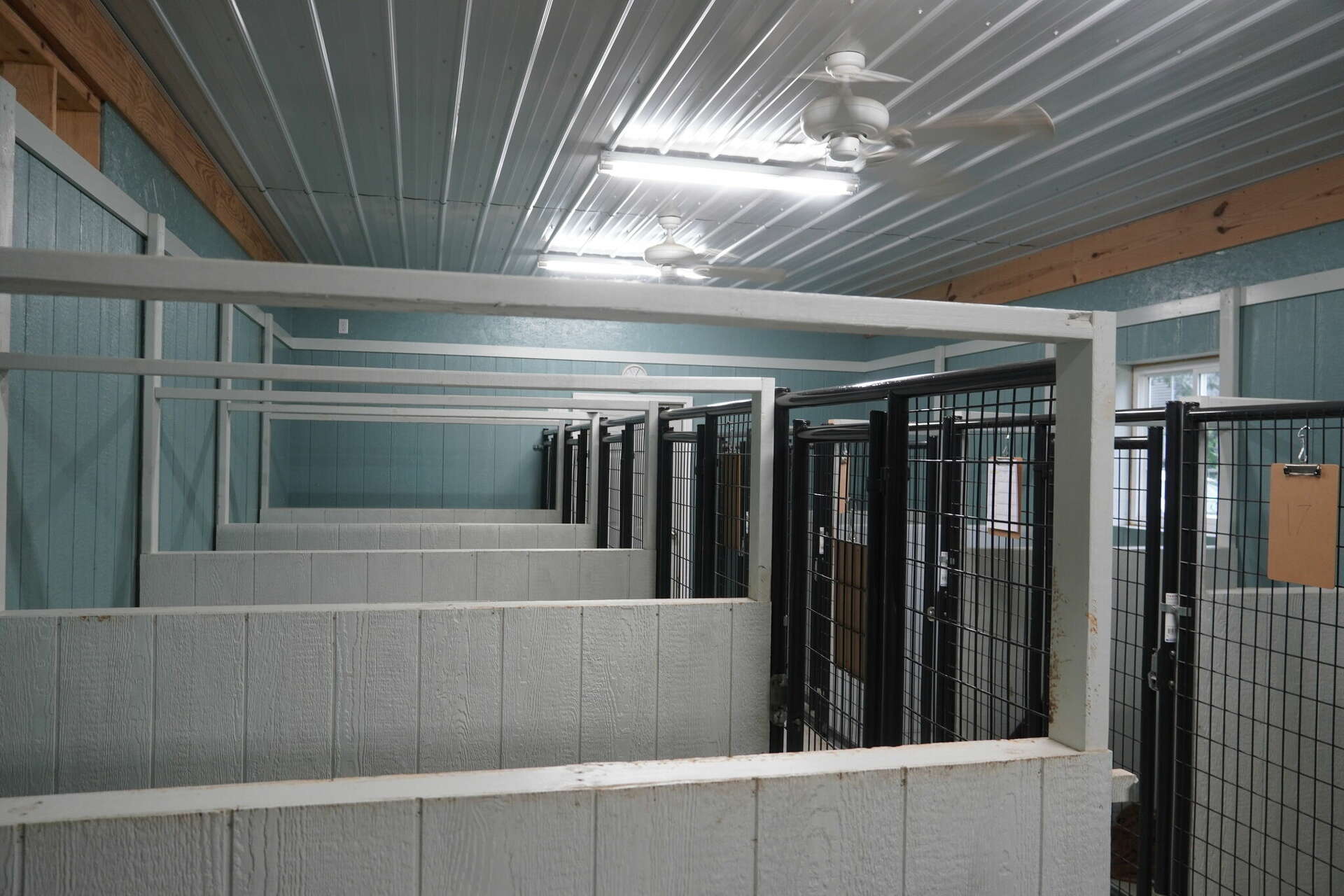 Dog Grooming Dog Boarding Paws Boarding Kennels Backyard