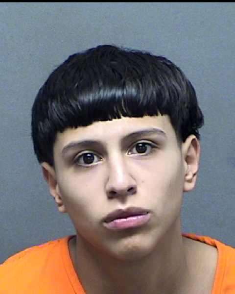 Teen sentenced to prison for a dozen aggravated robberies