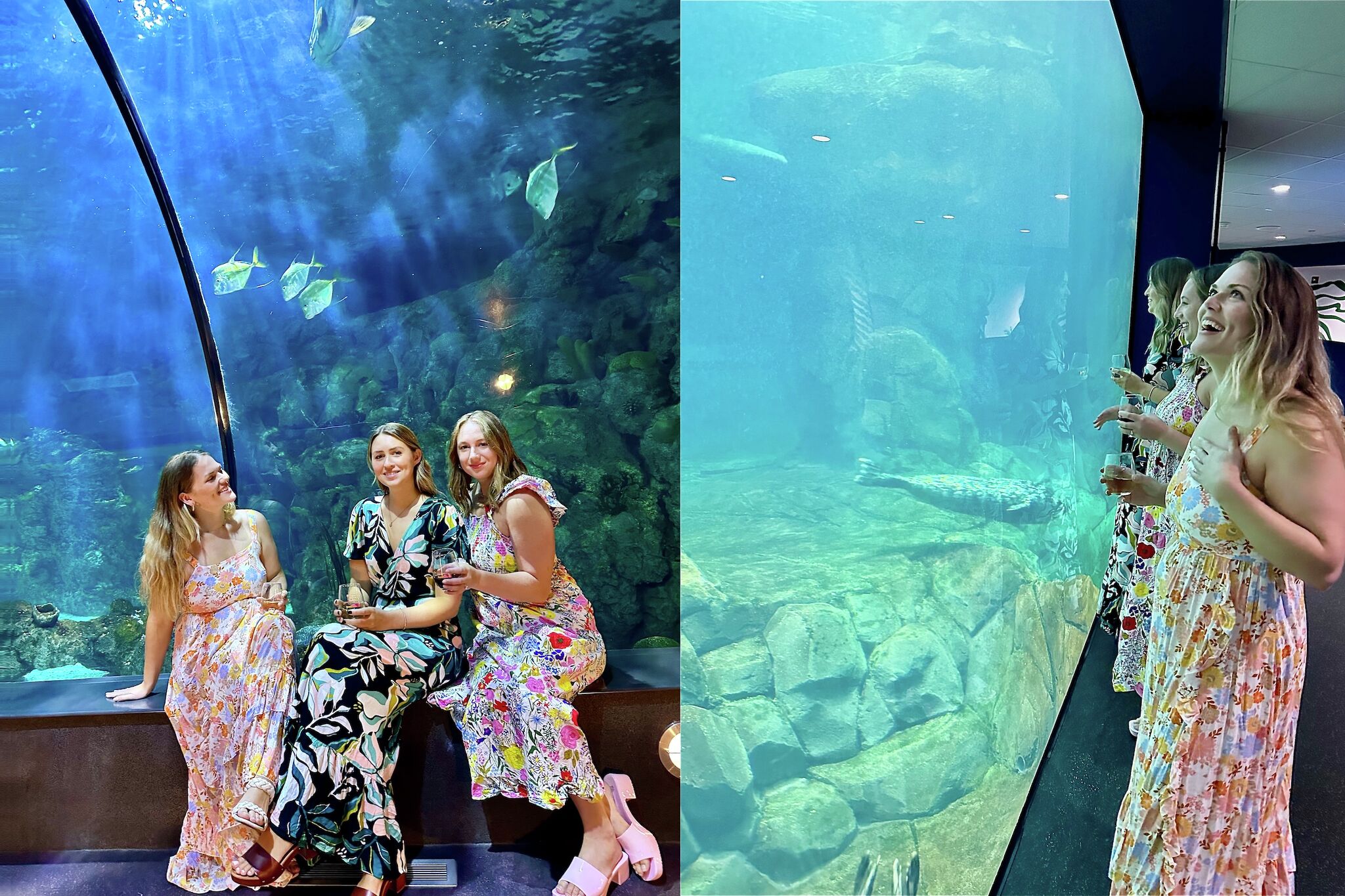 Top Houston chefs, sommeliers travel to Galveston Wine Festival