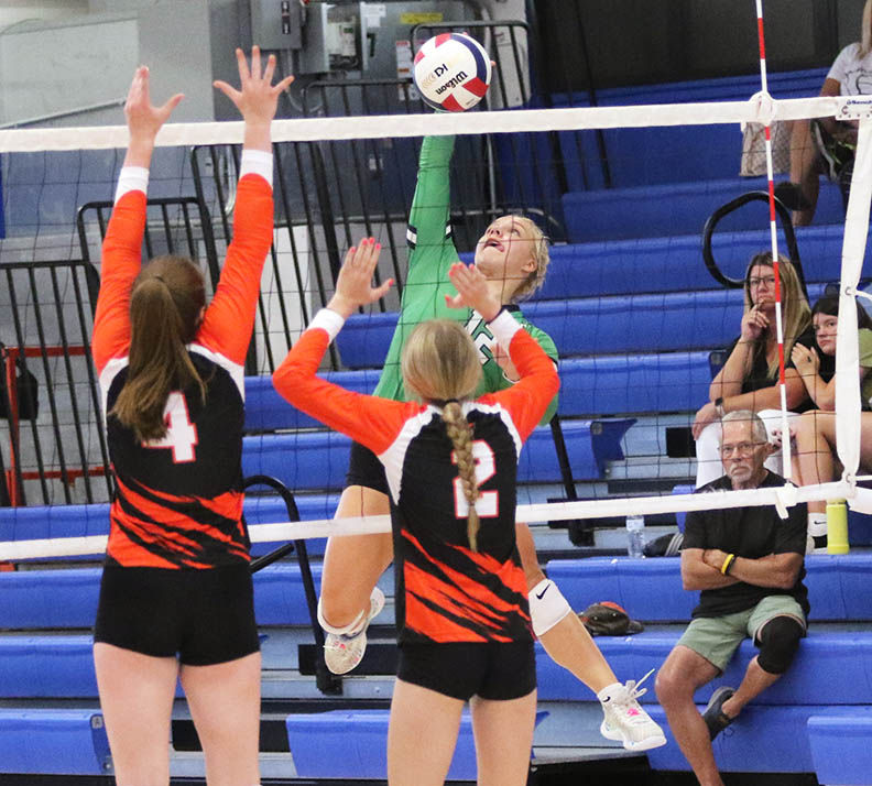 Carrollton volleyball stepping up its game under Robeen