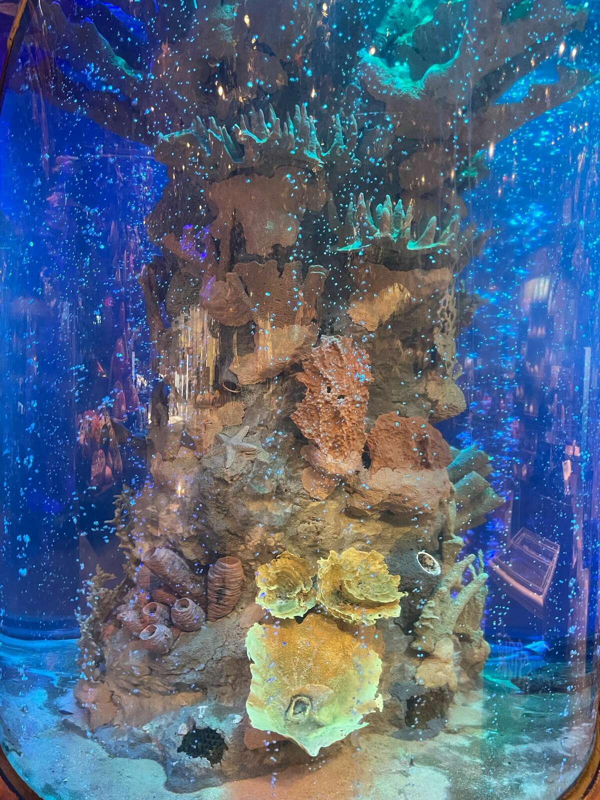 Rainforest Cafe in Katy Mills Mall plans massive $2.5M renovation