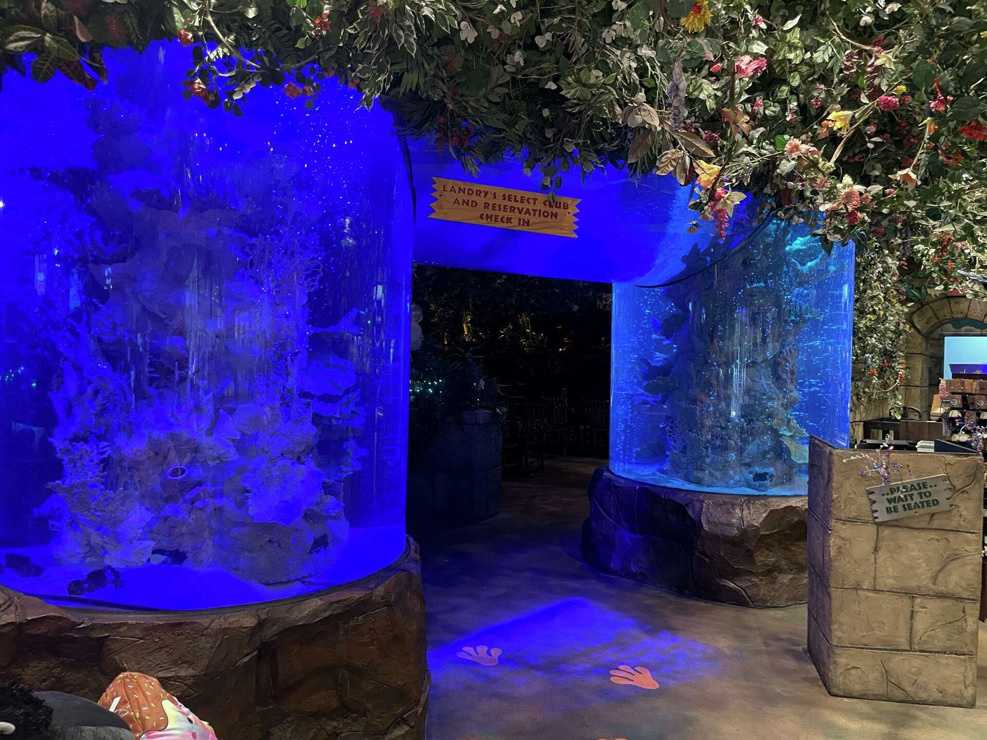 Rainforest Cafe in Katy Mills Mall plans massive $2.5M renovation