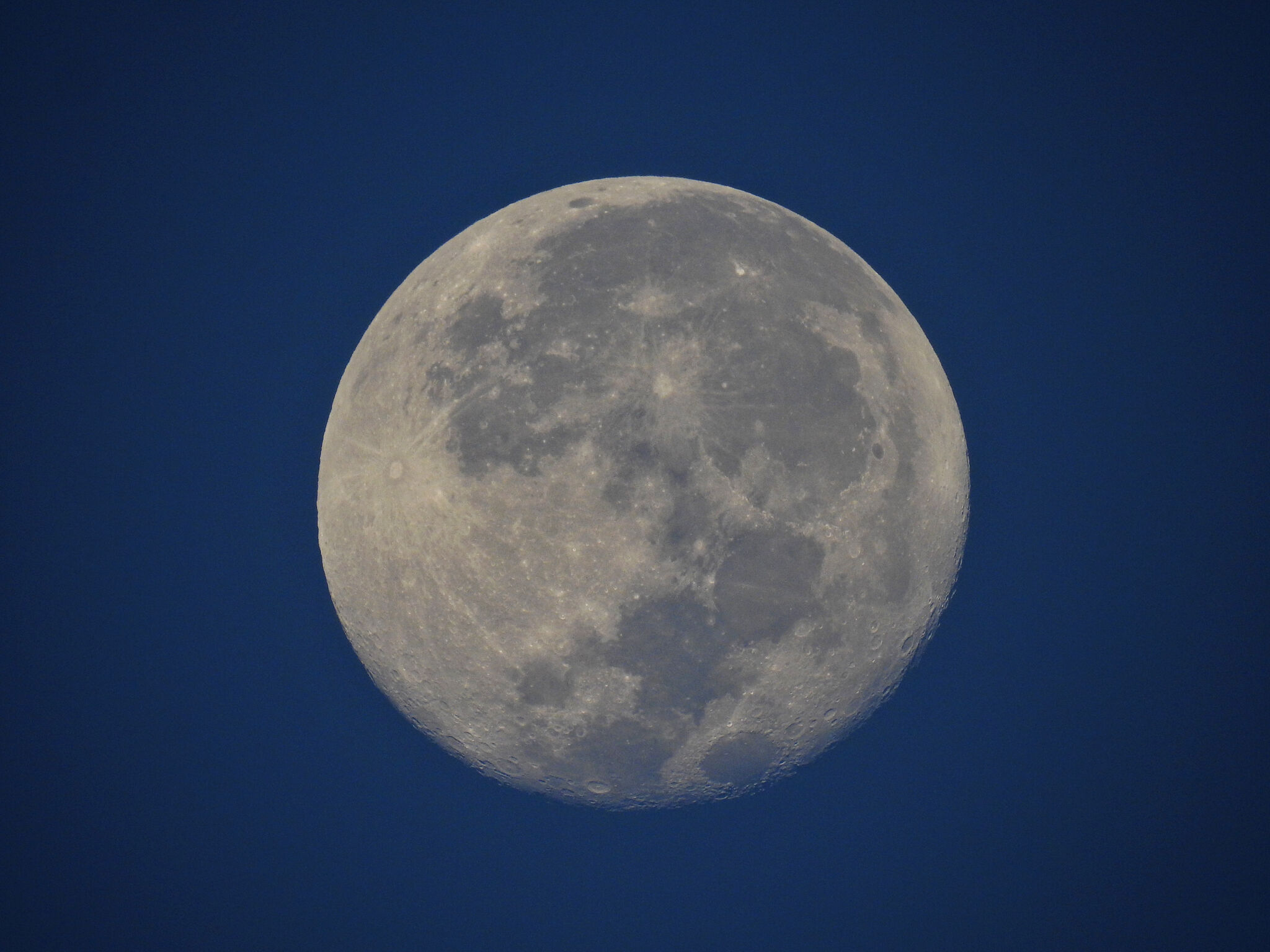 Blue Moon Gold – Craig Keenan