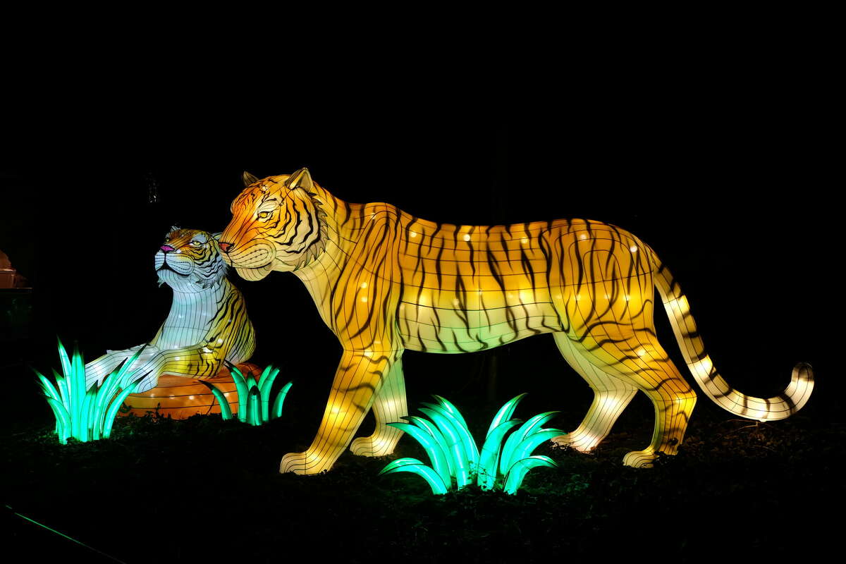 Beardsley Zoo to bring back 'Glow Wild' lantern festival to CT