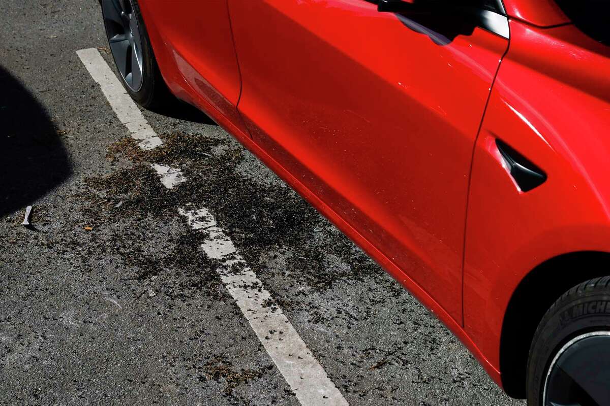 Here's why San Francisco’s car breakin epidemic is so bad