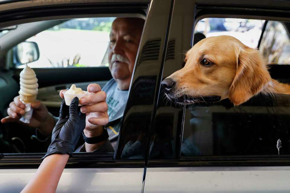 Meadowlark Dairy An East Bay ice cream favorite lasts over 100 years.