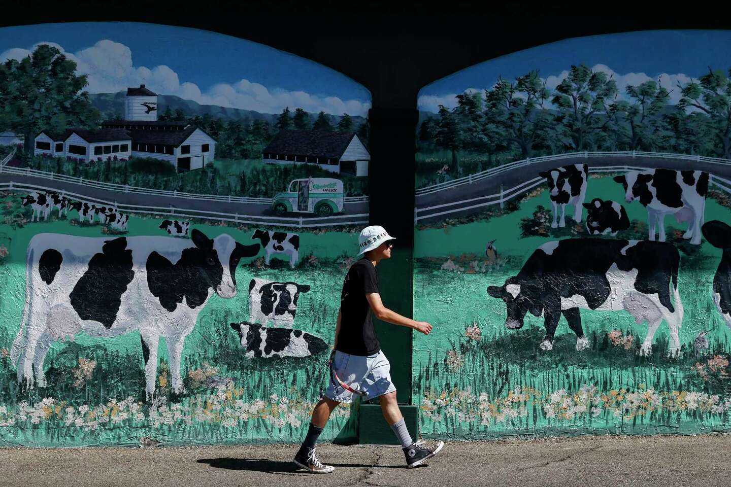 Meadowlark Dairy An East Bay ice cream favorite lasts over 100 years.