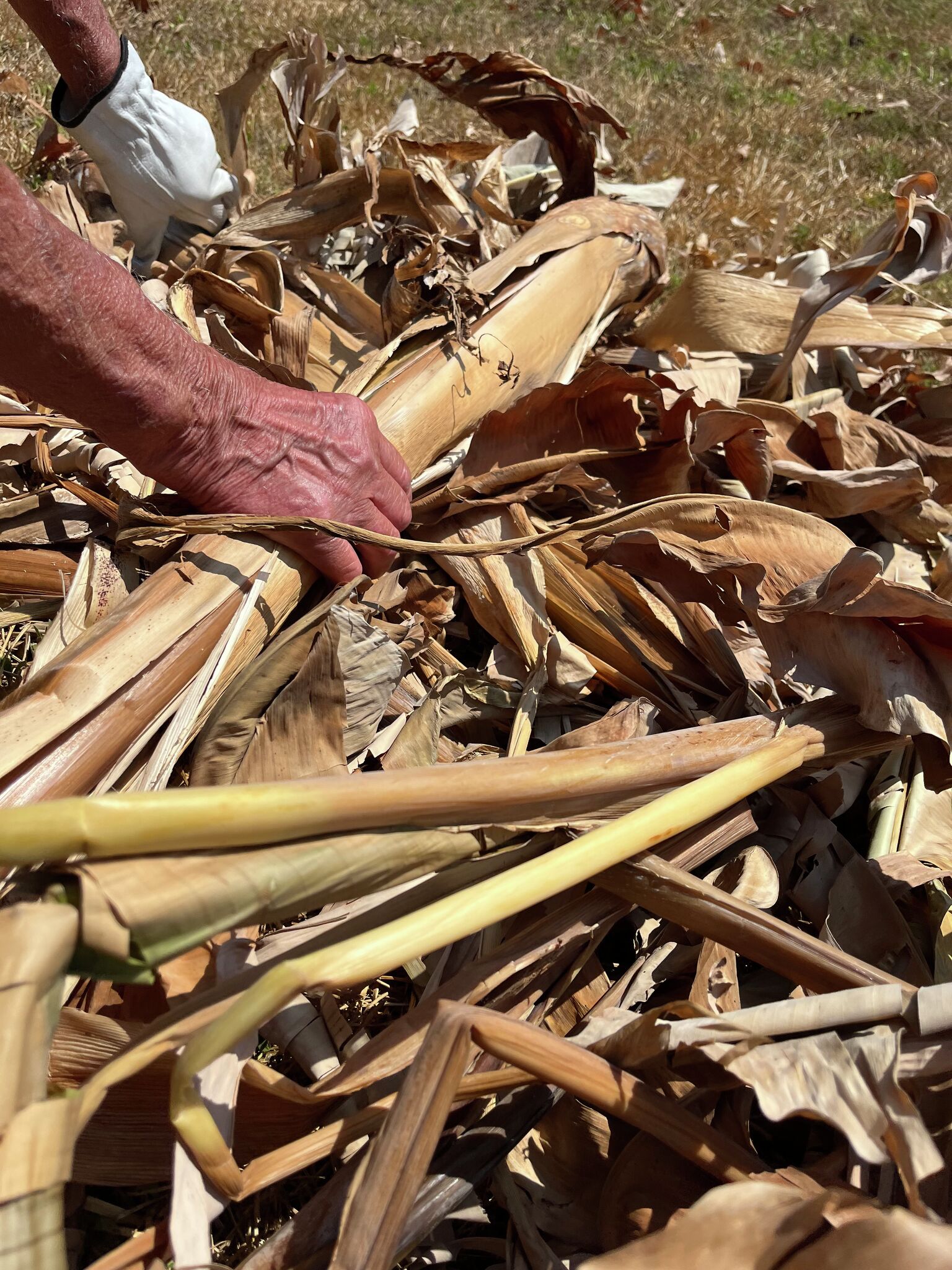 How to dispose of heavy trash, yard debris in Houston's Bay Area